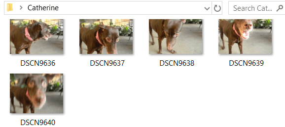 Como Redimensionar Fotos Em Massa Usando O Windows 10 7092